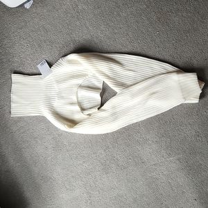 H&M Crop Turtleneck Sweater